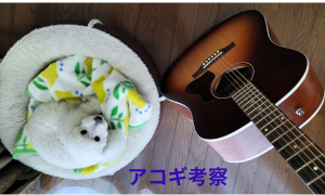 アコギ考察