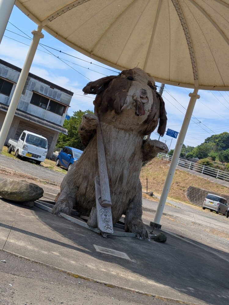 これは デコピンらしい